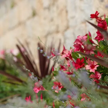 Sky Garden Τρογκίρ